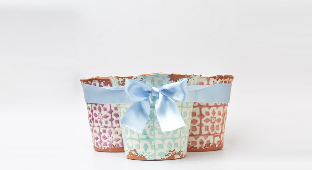 Serendipity-vela-citronela-vernao